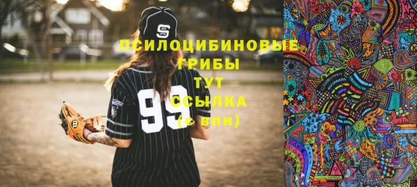 трава Бронницы