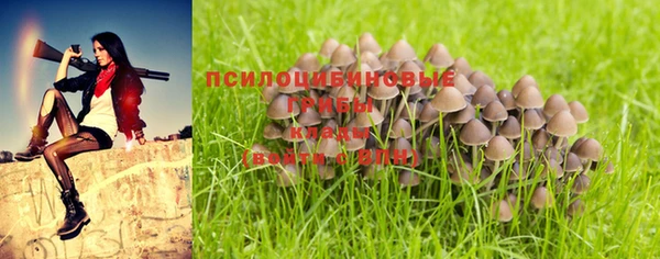 соль ск Беломорск