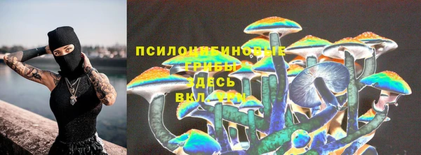 apvp Богородицк